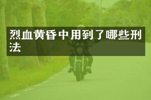 烈血黄昏中用到了哪些刑法