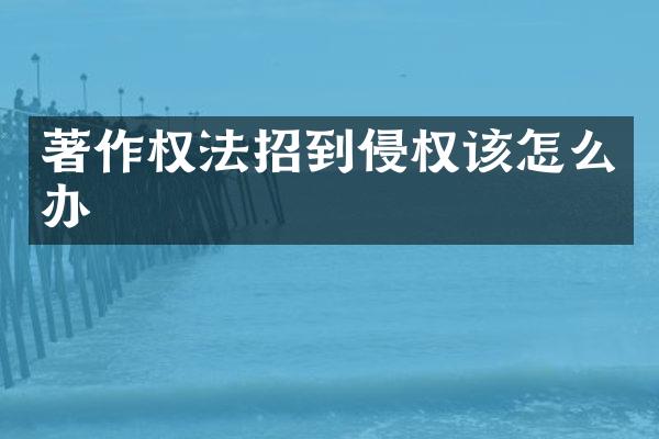 著作权法招到侵权该怎么办