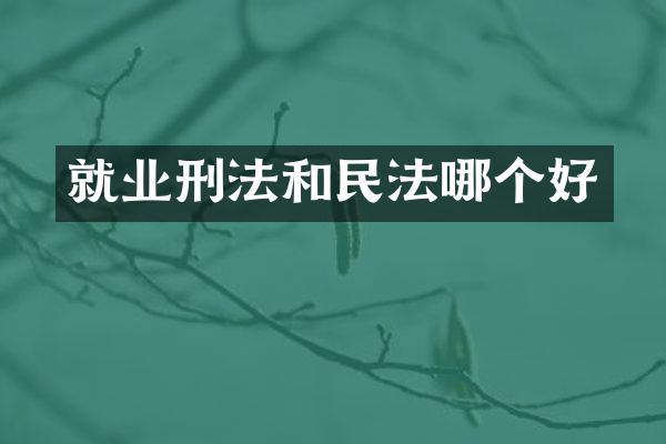 就业刑法和民法哪个好