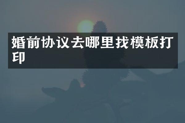 婚前协议去哪里找模板打印