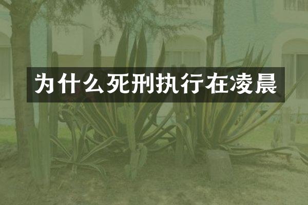 为什么死刑执行在凌晨