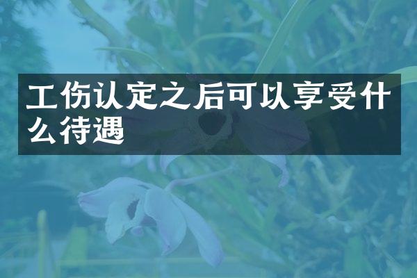 工伤认定之后可以享受什么待遇