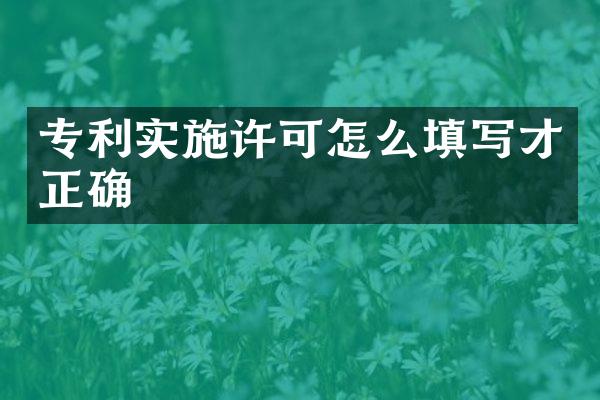 专利实施许可怎么填写才正确