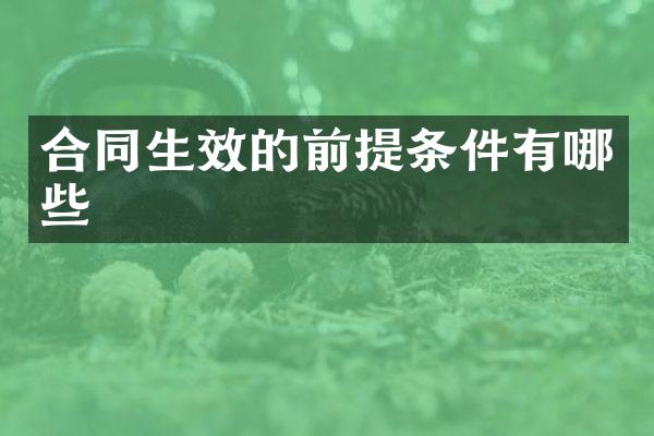 合同生效的前提条件有哪些