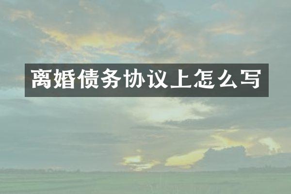 离婚债务协议上怎么写