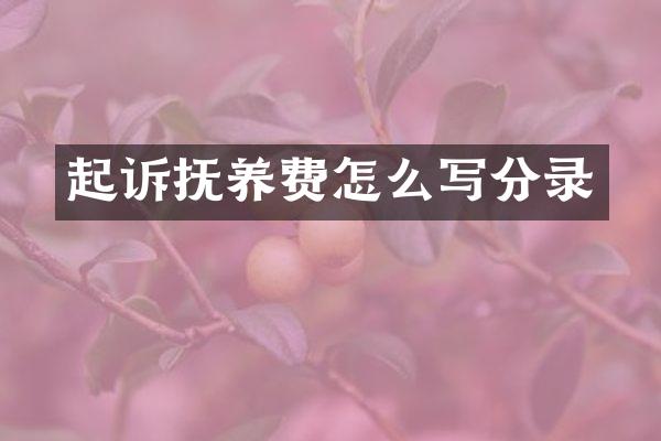 起诉抚养费怎么写分录