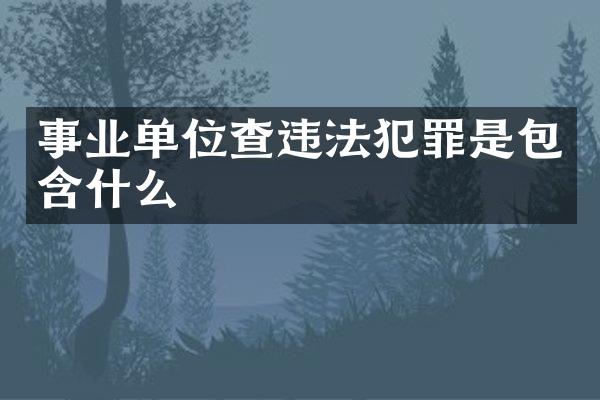 事业单位查违法犯罪是包含什么