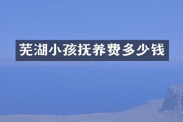 芜湖小孩抚养费多少钱