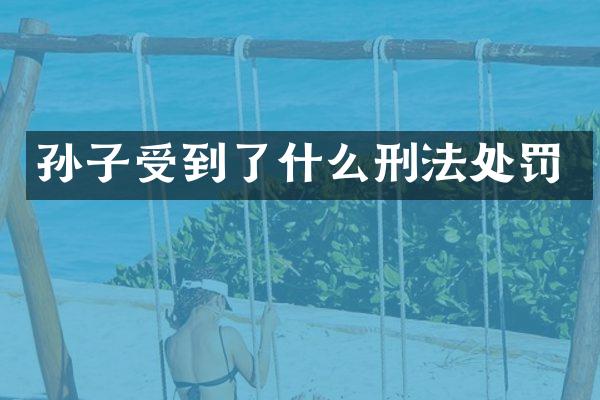 孙子受到了什么刑法处罚
