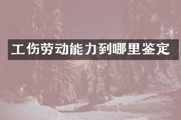 工伤劳动能力到哪里鉴定