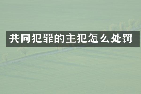 共同犯罪的怎么处罚