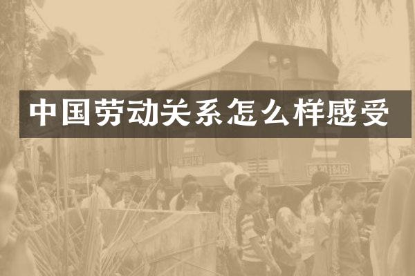 中国劳动关系怎么样感受