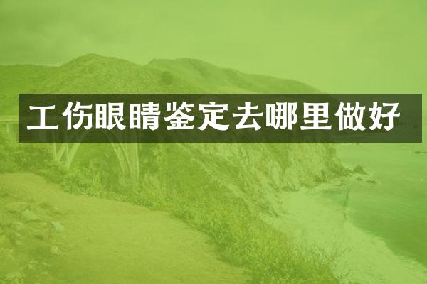 工伤眼睛鉴定去哪里做好