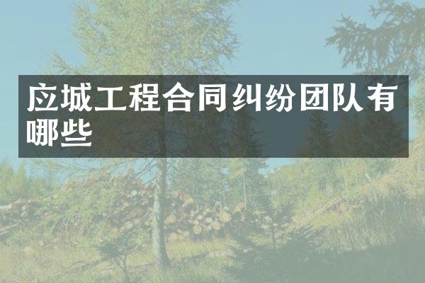 应城工程合同纠纷团队有哪些