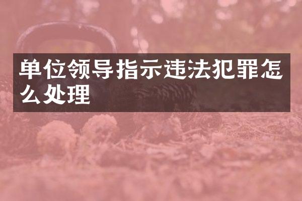 单位领导指示违法犯罪怎么处理