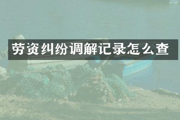 劳资纠纷调解记录怎么查
