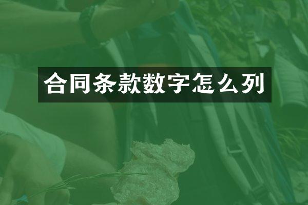 合同条款数字怎么列