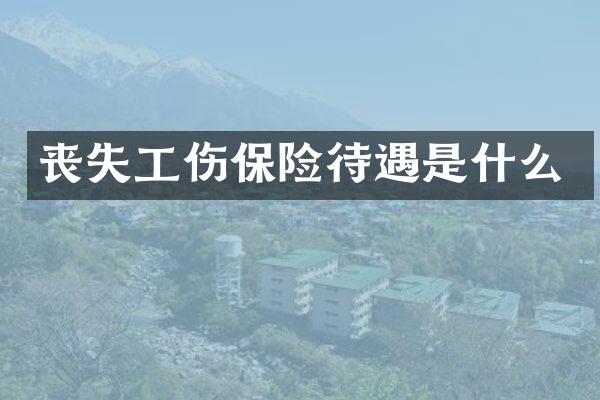 丧失工伤保险待遇是什么