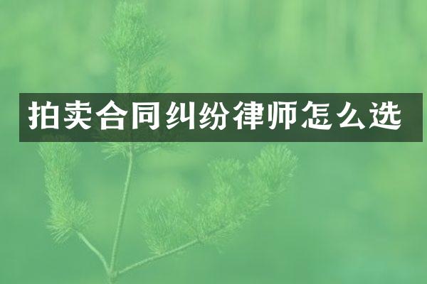 拍卖合同纠纷律师怎么选