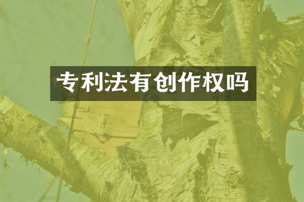 专利法有创作权吗
