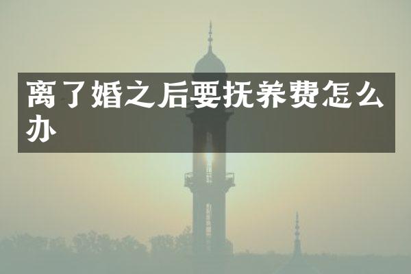 离了婚之后要抚养费怎么办