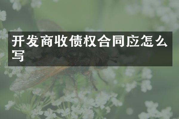开发商收债权合同应怎么写