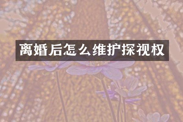 离婚后怎么维护探视权