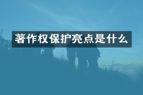 著作权保护亮点是什么