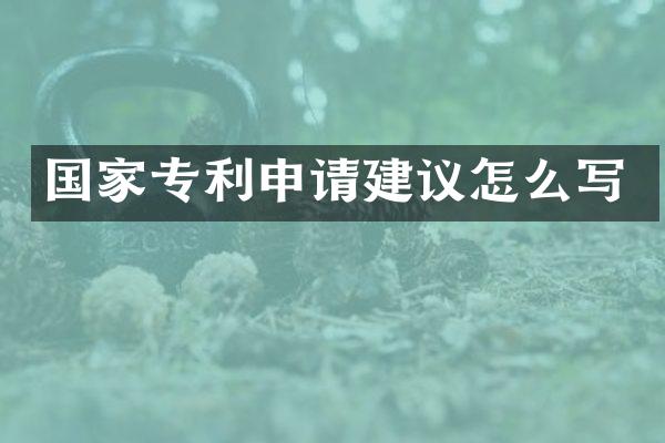 国家专利申请建议怎么写