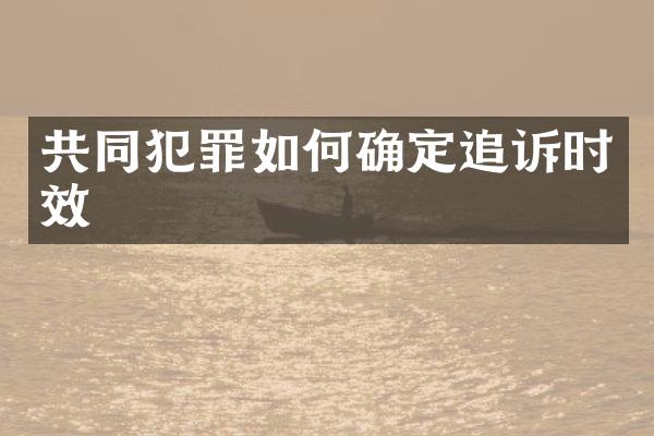 共同犯罪如何确定追诉时效