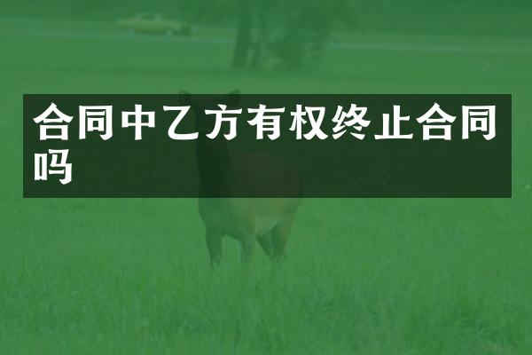 合同中乙方有权终止合同吗