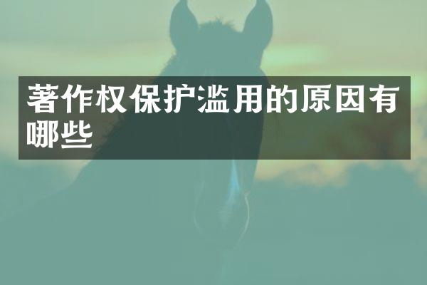 著作权保护滥用的原因有哪些