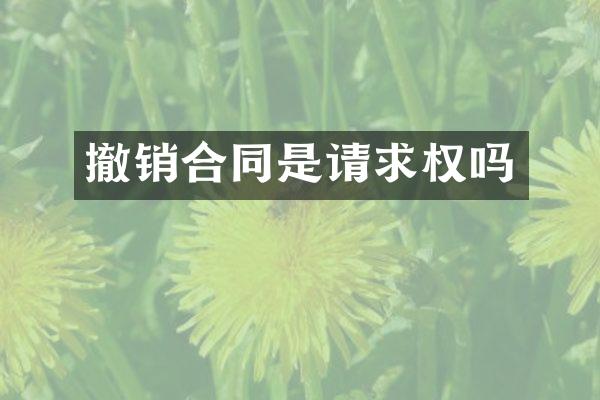 撤销合同是请求权吗