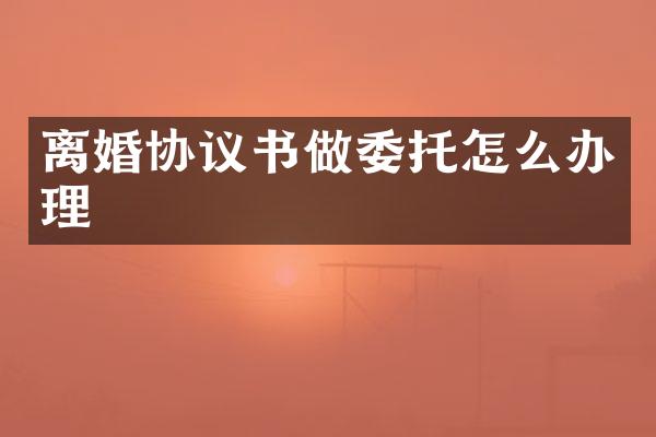 离婚协议书做委托怎么办理