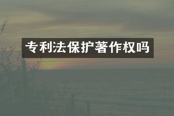 专利法保护著作权吗