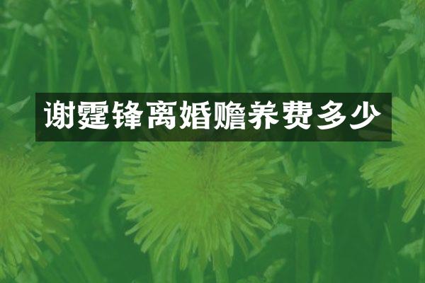 谢霆锋离婚赡养费多少