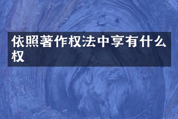 依照著作权法中享有什么权