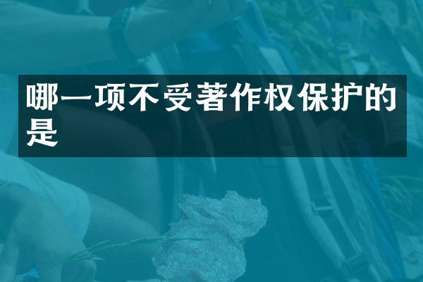 哪一项不受著作权保护的是