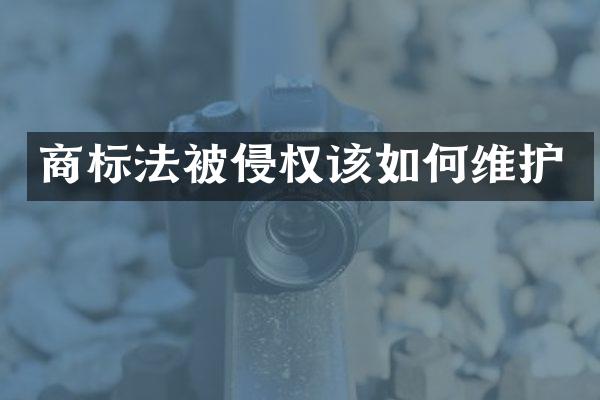 商标法被侵权该如护