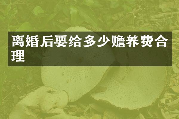 离婚后要给多少赡养费合理