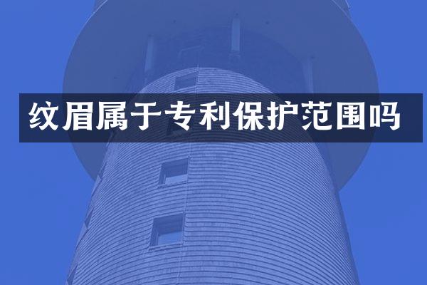 纹眉属于专利保护范围吗