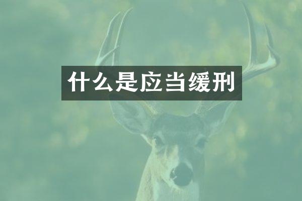什么是应当缓刑
