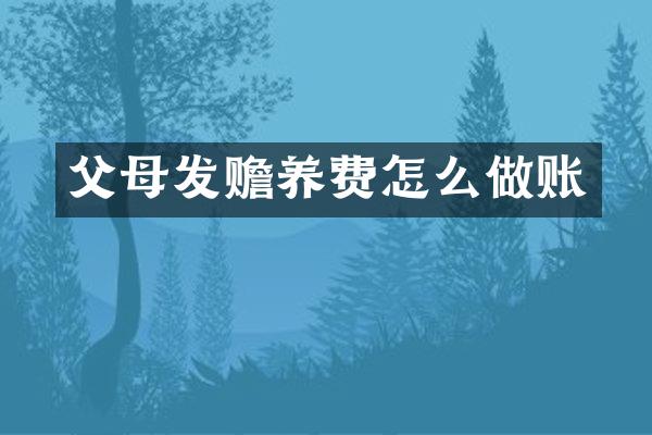 父母发赡养费怎么做账