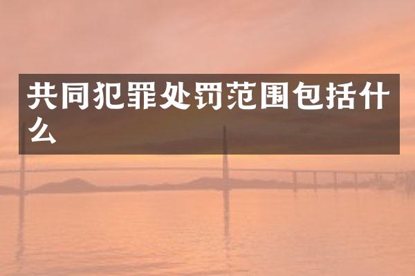共同犯罪处罚范围包括什么