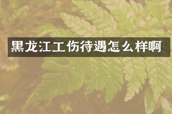 黑龙江工伤待遇怎么样啊