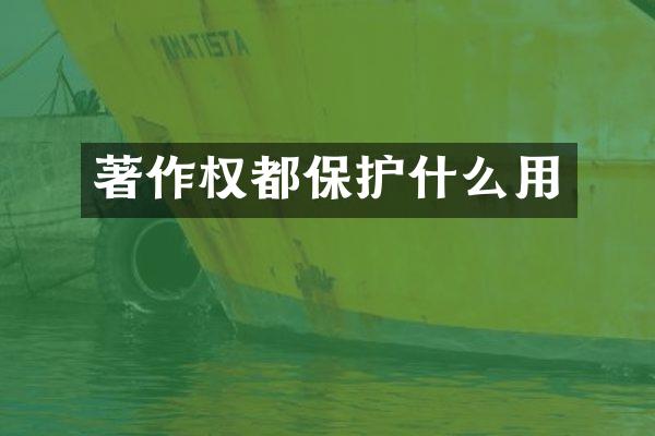 著作权都保护什么用