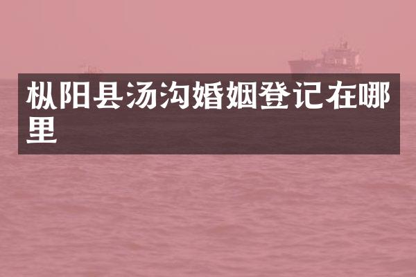 枞阳县汤沟婚姻登记在哪里