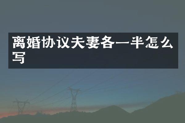 离婚协议夫妻各一半怎么写