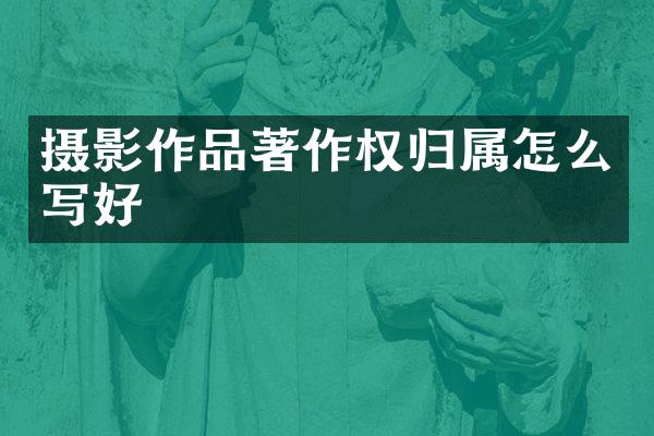 摄影作品著作权归属怎么写好