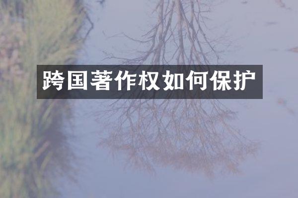 跨国著作权如何保护